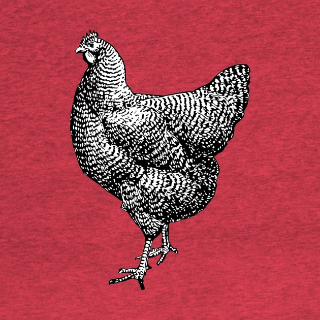 Vintage Barred Plymouth Rock Chicken Hen by Pixelchicken